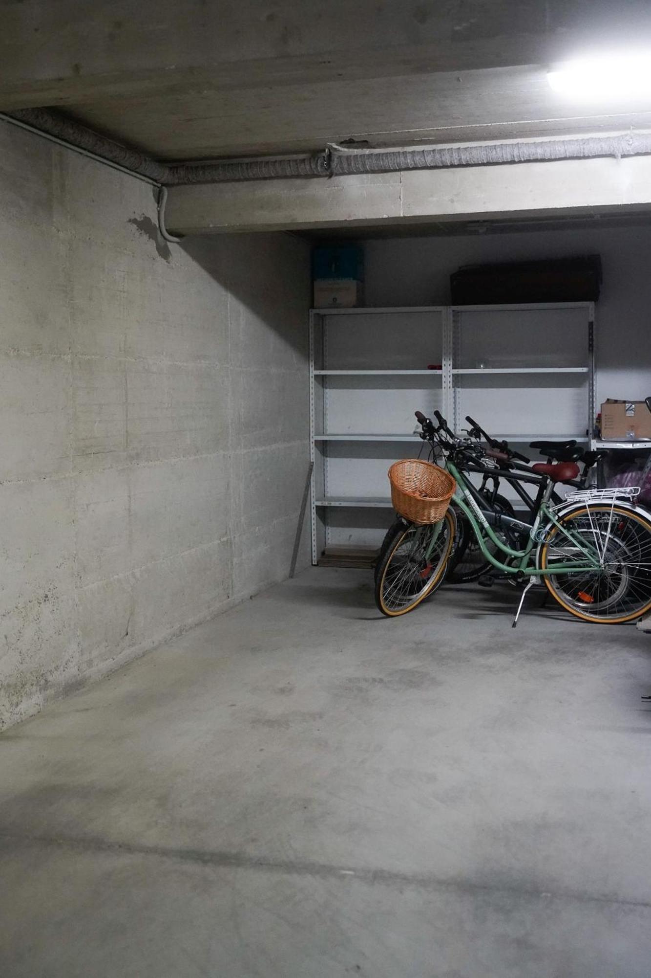 Dandelion Apartment Rovinj-Free Bikes Екстериор снимка